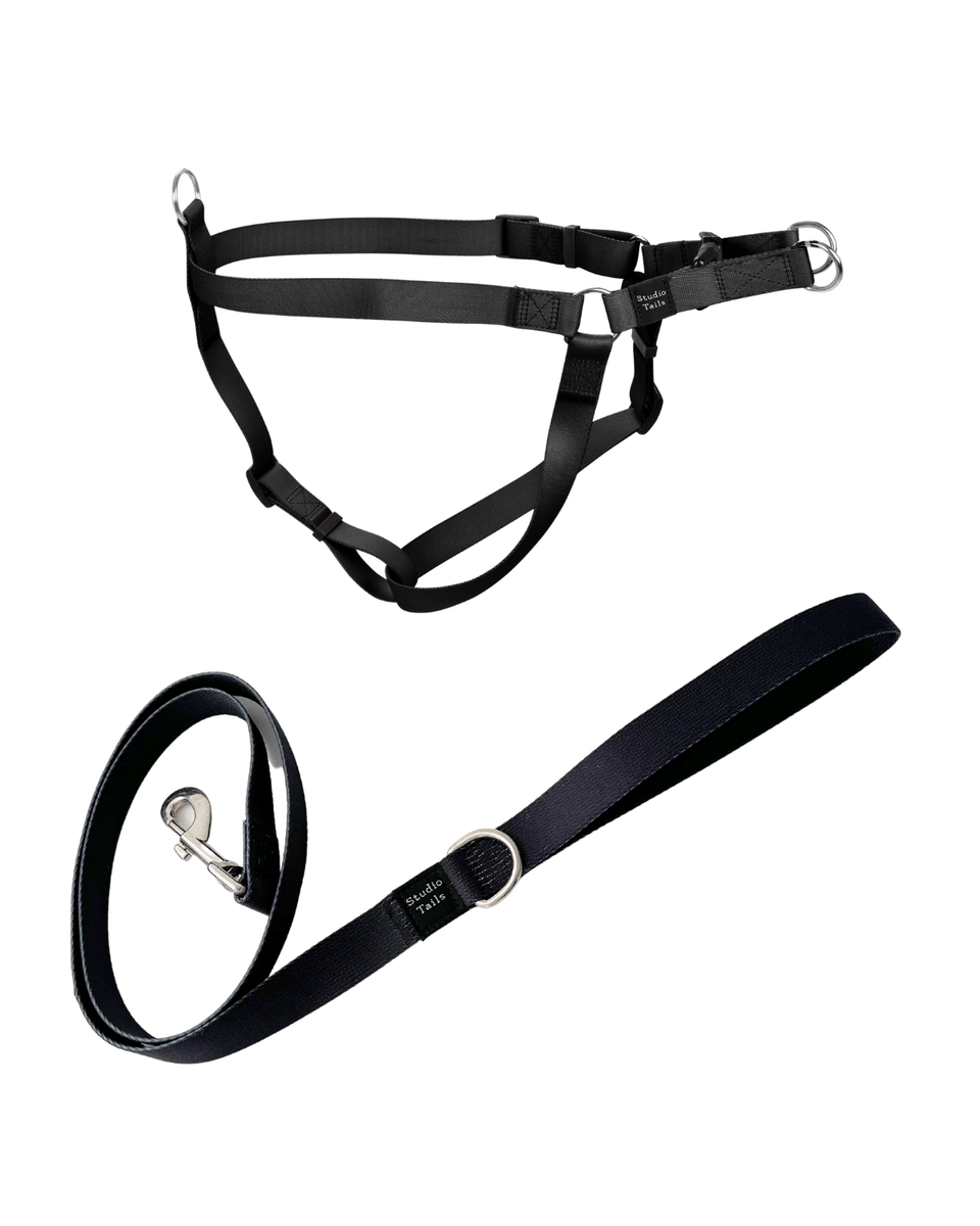 Leather Harness Two - Black or White